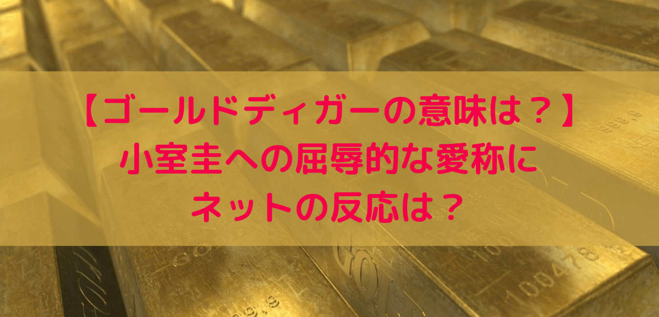 ゴールドディガー 小室圭への屈辱的な愛称にネットの反応は 意味は あしたもなんとかなるブログ