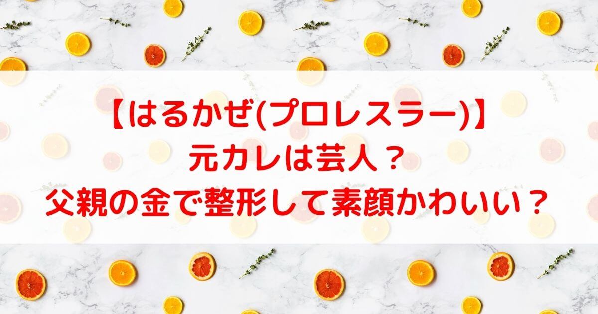 はるかぜ プロレスラー の元カレは芸人 父親の金で整形して素顔かわいい あしたもなんとかなるブログ